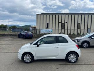 FIAT 500 usata 24