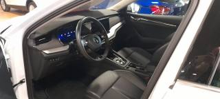 SKODA Octavia usata, con Bracciolo