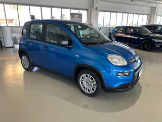 FIAT Panda usata, con Airbag Passeggero