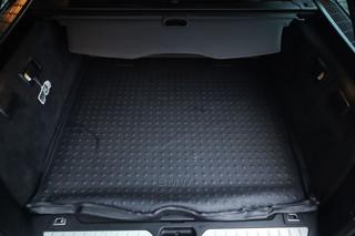 BMW 520 usata, con Luce d