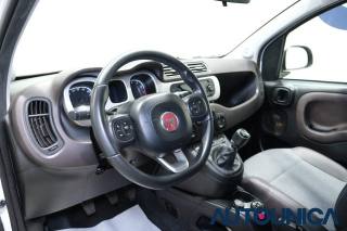 FIAT Panda Cross usata, con Alzacristalli elettrici