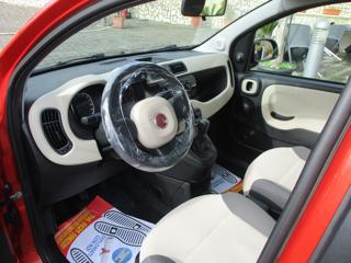 FIAT New Panda usata, con Fendinebbia