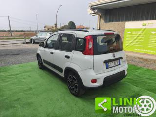 FIAT Panda usata 6