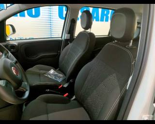 FIAT New Panda usata, con Kit antipanne
