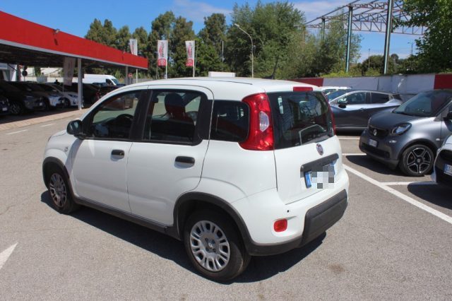 FIAT Panda usata, con Antifurto