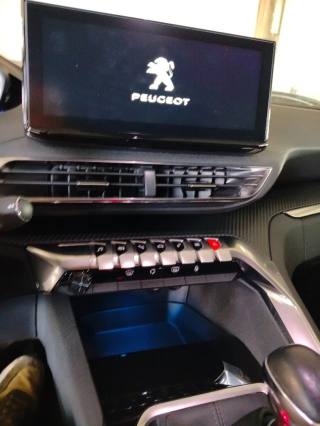PEUGEOT 3008 usata 20