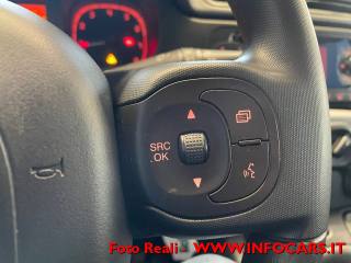 FIAT Panda usata 18