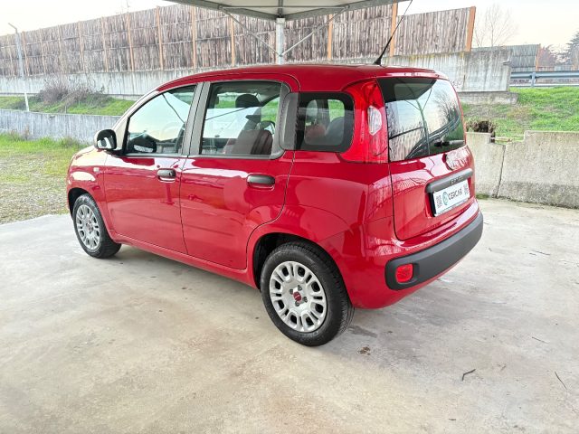 FIAT Panda usata, con Chiusura centralizzata