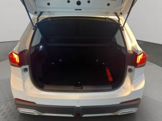 MG ZS usata, con Frenata d