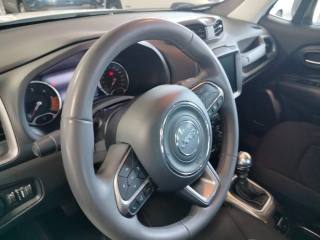 JEEP Renegade usata, con Airbag testa