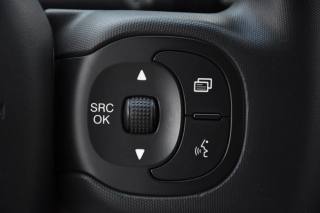 FIAT Panda usata, con Controllo vocale