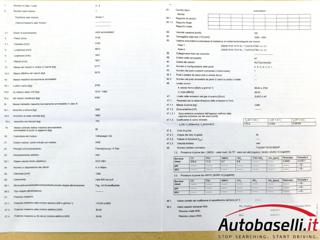 VOLKSWAGEN Multivan usata 91