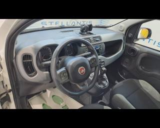 FIAT New Panda usata, con Controllo automatico clima