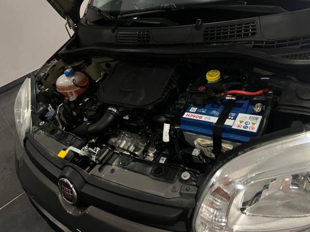 FIAT Panda usata, con Fendinebbia