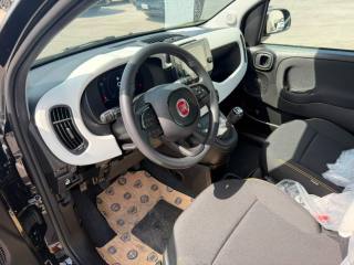 FIAT Pandina usata, con Cruise Control