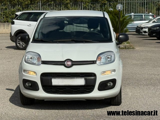 FIAT Panda usata 2