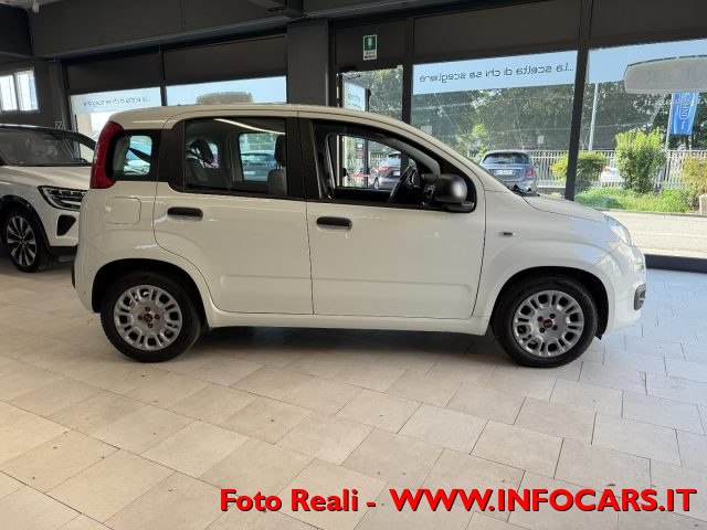 FIAT Panda usata 17