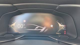 DS AUTOMOBILES DS 7 usata, con Bracciolo