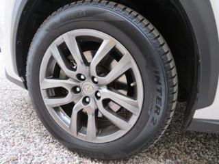LEXUS NX 300 usata, con Regolazione elettrica sedili