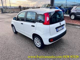 FIAT Panda usata, con Alzacristalli elettrici