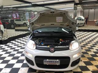 FIAT Panda usata 18