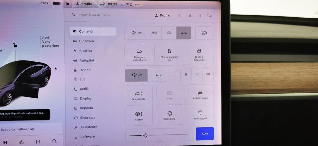 TESLA Model 3 usata 66