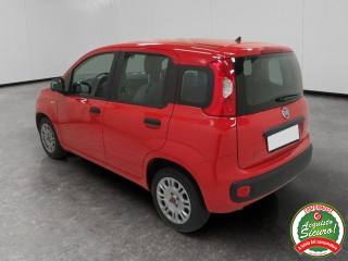 FIAT Panda usata, con Chiusura centralizzata