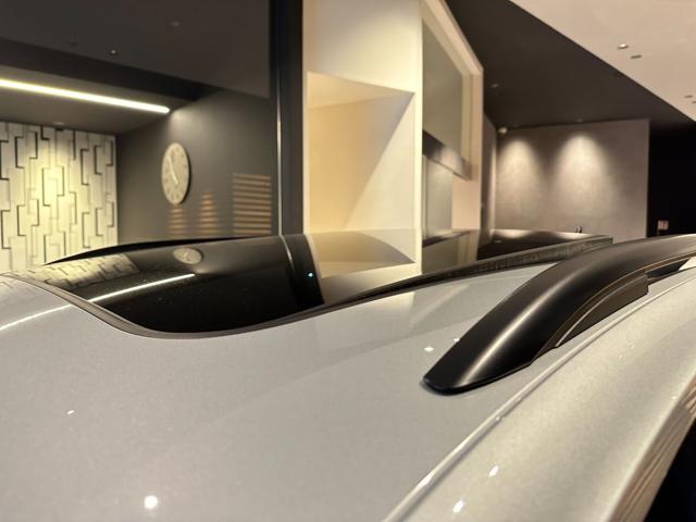 VOLKSWAGEN Tiguan usata, con Tettuccio apribile