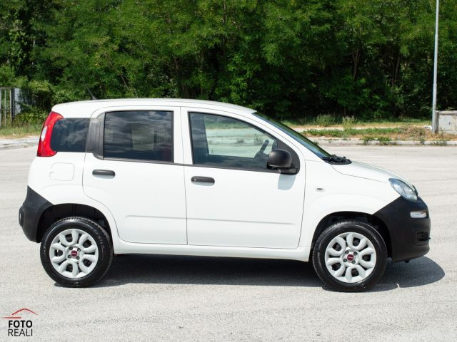 FIAT Panda usata, con Cronologia tagliandi