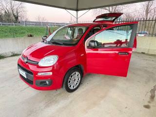 FIAT Panda usata 40