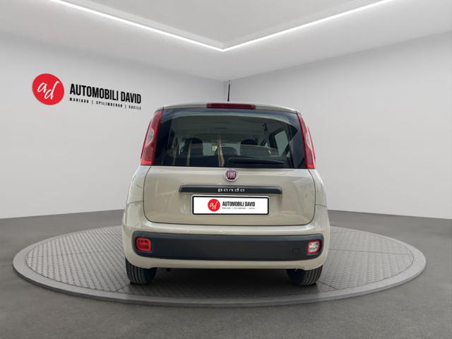FIAT Panda usata, con Antifurto