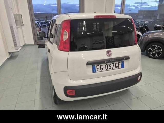 FIAT Panda usata, con Controllo trazione