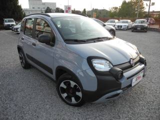 FIAT Panda Cross usata 66
