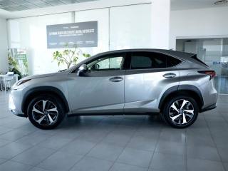 LEXUS NX 200t usata, con Antifurto