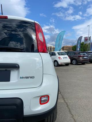 FIAT Panda usata 16