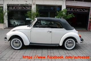 VOLKSWAGEN Maggiolone usata 18