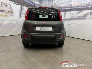 FIAT Panda usata, con Antifurto