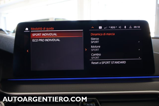 BMW 520 usata, con Vivavoce