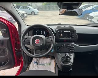 FIAT Panda usata 21