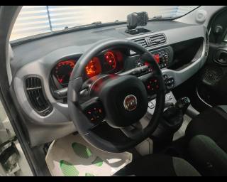 FIAT New Panda usata, con ESP