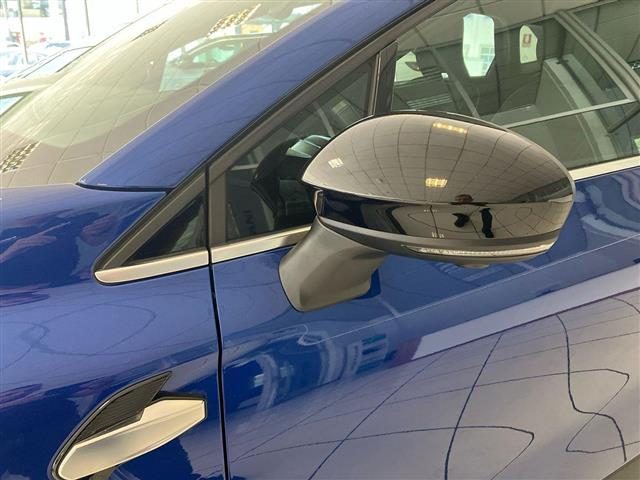 RENAULT Symbioz usata 22