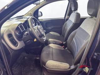 FIAT Panda usata 9