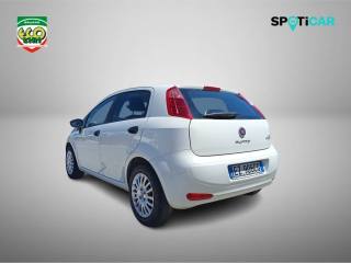 FIAT Punto usata, con Controllo trazione