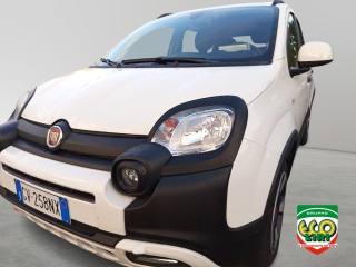 FIAT Panda Cross usata 25