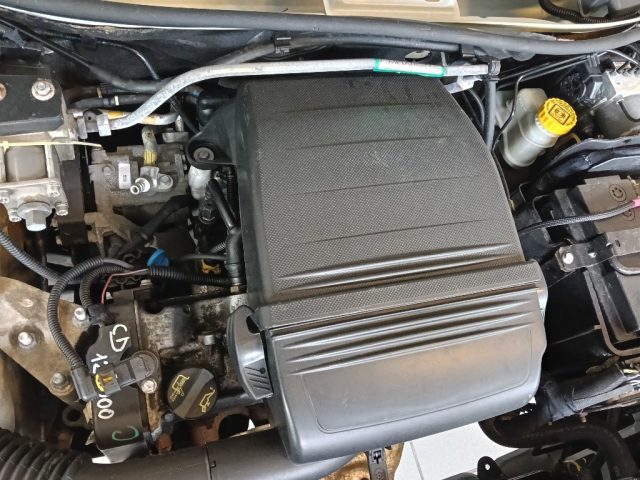 FIAT Punto usata 19