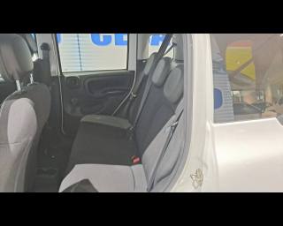 FIAT New Panda usata 24
