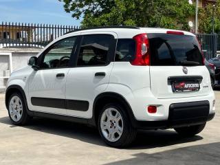 FIAT Panda usata, con Alzacristalli elettrici