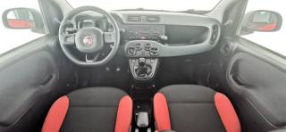 FIAT Panda usata, con Immobilizzatore elettronico