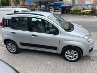 FIAT Panda usata, con Airbag Passeggero