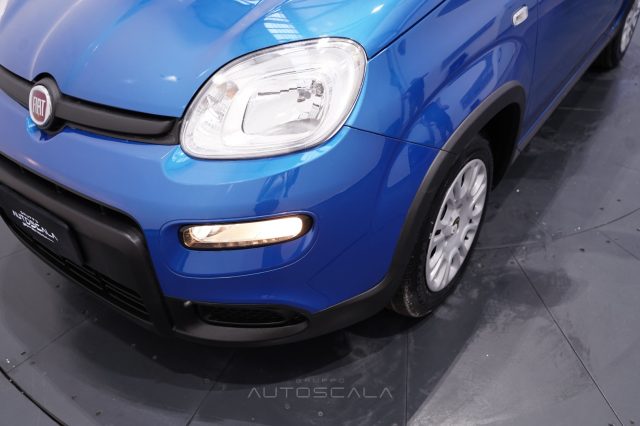 FIAT Panda usata 24